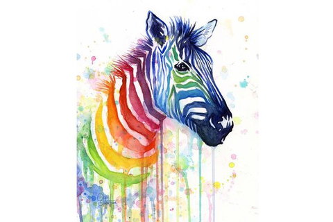 Rainbow Zebra - 65 Northbourne 7.30-9.30pm - South Australia Travel 0