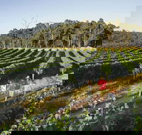 Margaret River Caves Wine and Cape Leeuwin Lighthouse Tour from Perth - South Australia Travel
