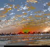1 Hour Broome Sunset Camel Tour - South Australia Travel