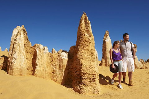 Pinnacles Sunset Dinner And Wildlife Experience A Small Group Tour - South Australia Travel 5