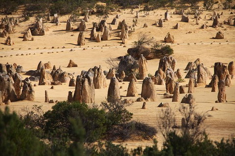 Pinnacles Sunset Dinner And Wildlife Experience A Small Group Tour - South Australia Travel 9