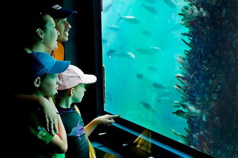 2-hour Busselton Jetty Package: Jetty Train And Underwater Observatory - South Australia Travel 1