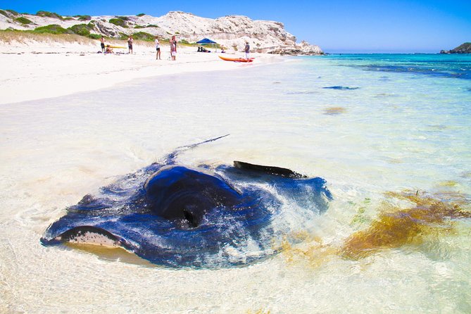 Margaret River WA South Australia Travel