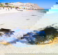 Private Custom Margaret River Tour - South Australia Travel