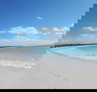 Shipwreck Special Nature Tour/Half Day Tour - South Australia Travel