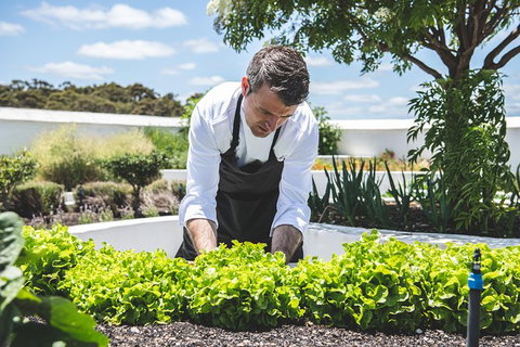 Voyager Estate: Private Winery Tasting Tour In Margaret River With Lunch - South Australia Travel 8