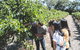 Voyager Estate: Private Winery Tasting Tour In Margaret River With Lunch - thumb 2