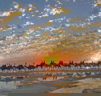 Broome City Sightseeing Tour with Optional Camel Ride - South Australia Travel