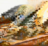 1.5-Hour Historical Pearl Luggers Tour in Broome - South Australia Travel