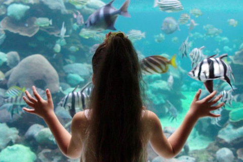 AQWA The Aquarium Of Western Australia: General Admission - South Australia Travel 1