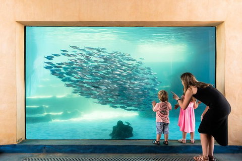 AQWA The Aquarium Of Western Australia: General Admission - South Australia Travel 2