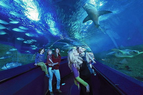 AQWA The Aquarium Of Western Australia: General Admission - South Australia Travel 14