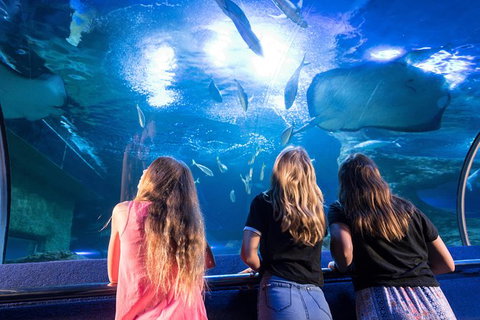 AQWA The Aquarium Of Western Australia: General Admission - South Australia Travel 7