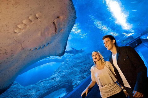 AQWA The Aquarium Of Western Australia: General Admission - South Australia Travel 6
