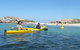 Seal Island And Penguin Island Or Point Peron Sea Kayak Tour - thumb 3