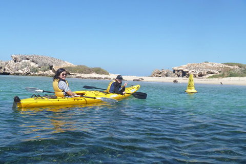 Seal Island And Penguin Island Or Point Peron Sea Kayak Tour - South Australia Travel 3