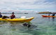 Seal Island And Penguin Island Or Point Peron Sea Kayak Tour - thumb 1