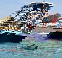 Mandurah Dolphin and Scenic Marine Cruise - South Australia Travel