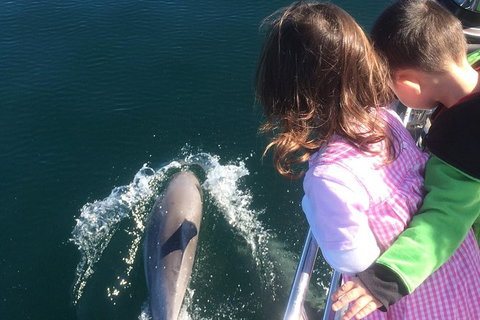 Rottnest Island Sailing Day Trip From Fremantle - South Australia Travel 1