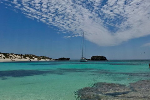 Rottnest Island Sailing Day Trip From Fremantle - South Australia Travel 6