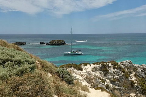 Rottnest Island Sailing Day Trip From Fremantle - South Australia Travel 4