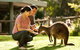 Very Best Of Perth Tour - Wildlife Park & City Highlights Tour - thumb 0
