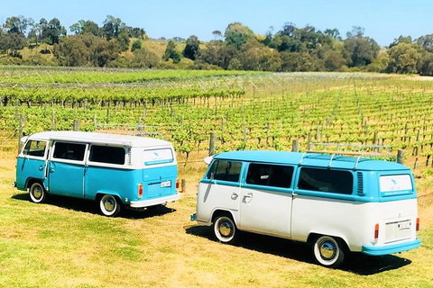 VW Kombi Wine Tour In The Swan Valley - South Australia Travel 6