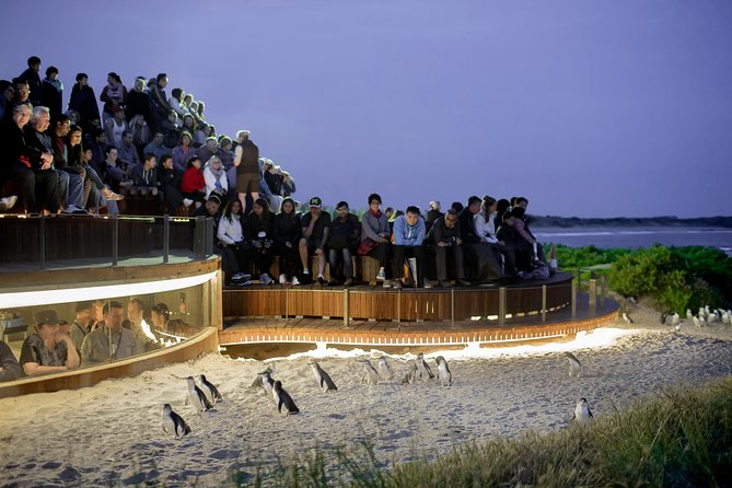 Phillip Island VIC South Australia Travel