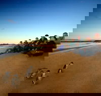 Phillip Island Ultimate Penguin Eco Tour or Skybox Experience - South Australia Travel