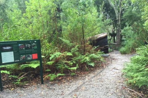 Wilsons Promontory Walking And Sightseeing Tour From Phillip Island - South Australia Travel 1