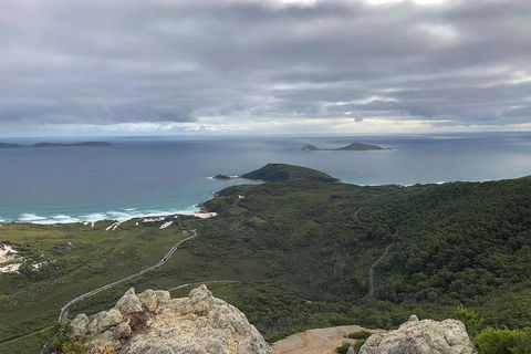 Wilsons Promontory Walking And Sightseeing Tour From Phillip Island - South Australia Travel 7