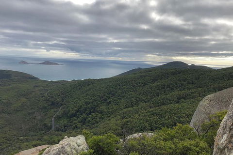 Wilsons Promontory Walking And Sightseeing Tour From Phillip Island - South Australia Travel 5