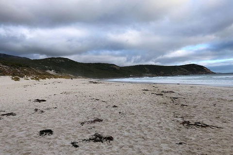 Wilsons Promontory Walking And Sightseeing Tour From Phillip Island - South Australia Travel 11