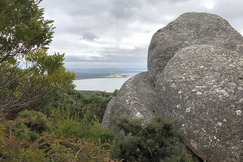 Wilsons Promontory Walking And Sightseeing Tour From Phillip Island - South Australia Travel 15
