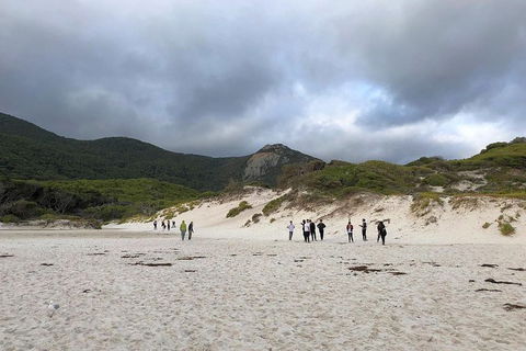 Wilsons Promontory Walking And Sightseeing Tour From Phillip Island - South Australia Travel 4
