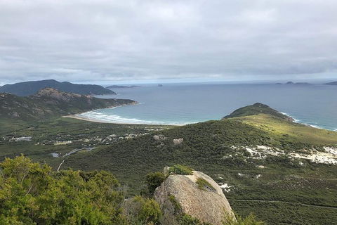 Wilsons Promontory Walking And Sightseeing Tour From Phillip Island - South Australia Travel 12