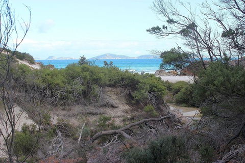 Wilsons Promontory Walking And Sightseeing Tour From Phillip Island - South Australia Travel 14