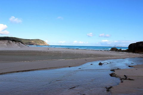 Wilsons Promontory Walking And Sightseeing Tour From Phillip Island - South Australia Travel 3