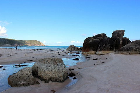 Wilsons Promontory Walking And Sightseeing Tour From Phillip Island - South Australia Travel 10