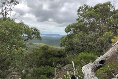 Wilsons Promontory Walking And Sightseeing Tour From Phillip Island - South Australia Travel 13