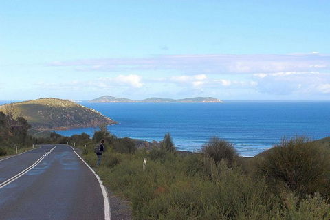 Wilsons Promontory Walking And Sightseeing Tour From Phillip Island - South Australia Travel 2