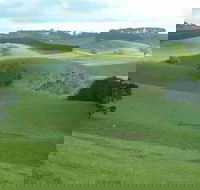 Day Tour of Phillip Island  Surrounding Region - South Australia Travel