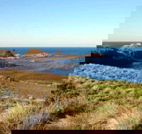 Phillip Island Walking  Bird Watching Tour - South Australia Travel
