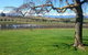 CHEVY CONVERTIBLE Package For 2 People- Wine Lunch Cheese & Chocolate From Melb. - thumb 4