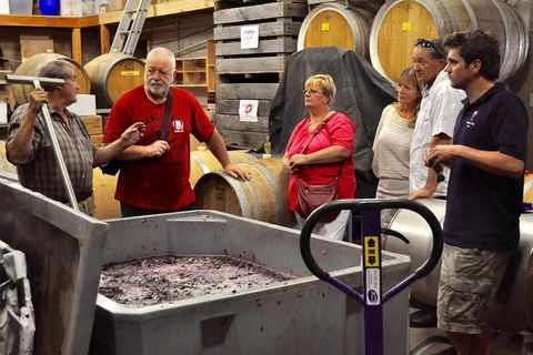5 Hour Private Wine Tour - South Australia Travel 2