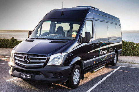 Ultimate Reverse Direction - 12 Apostles, Great Ocean Road - Small Group Tour - South Australia Travel 4