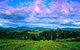 CHEVY CONVERTIBLE Package For 4 -Wine Lunch Cheese & Chocolate From Yarra Valley - thumb 7