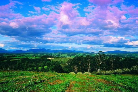 CHEVY CONVERTIBLE Package For 4 -Wine Lunch Cheese & Chocolate From Yarra Valley - South Australia Travel 7