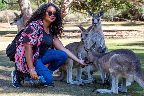 3-Day Tasmania Combo: Launceston To Hobart Active Tour Including Cradle Mountain, Freycinet National Park And Port Arthur - South Australia Travel 12