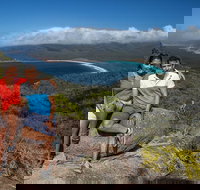 Full-Day Tour One-Way from Launceston to Hobart with Freycinet National Park - South Australia Travel